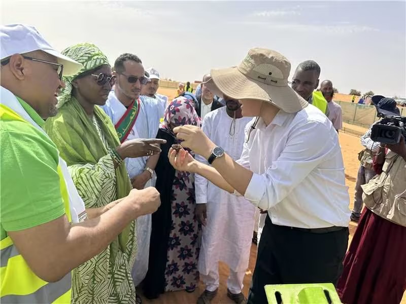 Sinoway Forest's Green Footprint on Mauritania's Arbor Day